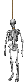 Hanging Skeleton